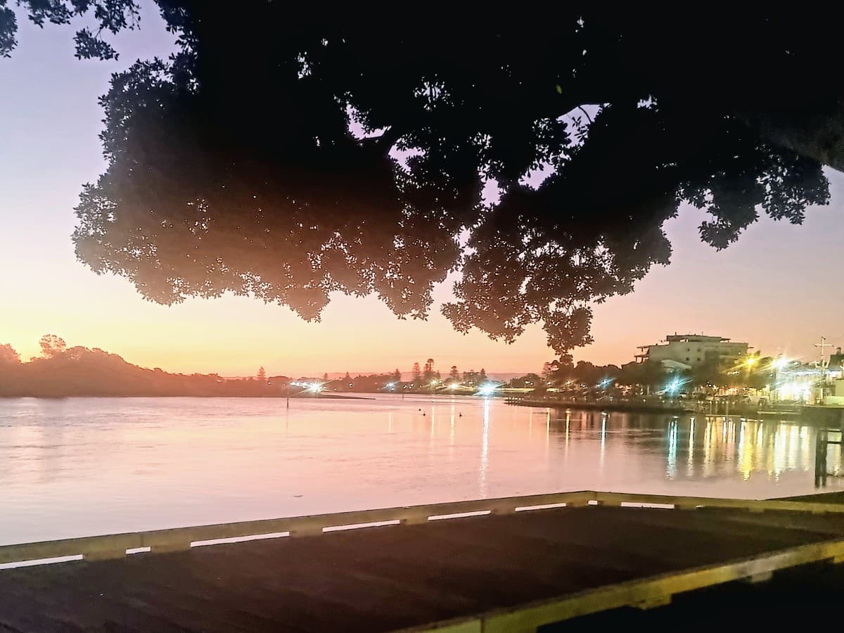 Drive Organic Growth with Wandering Webmaster's SEO Services