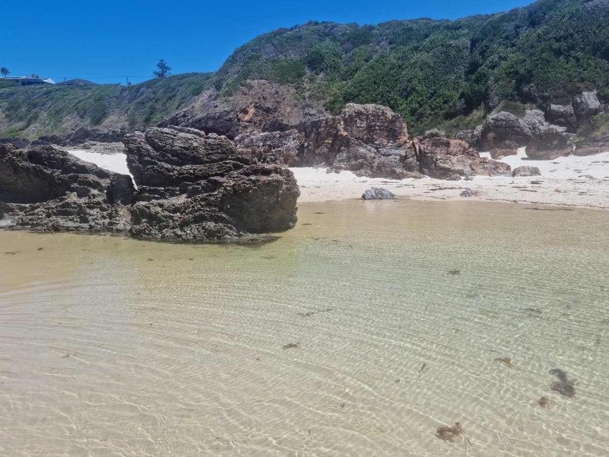 Digital Marketing Demystified: Thriving in the Online World - Small Business Booster Series