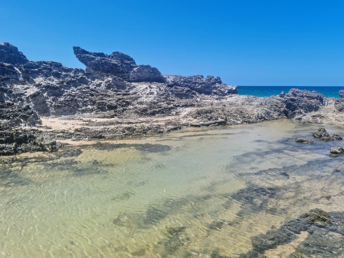 Elevate Your Brand with Wandering Webmaster's Web Design Services