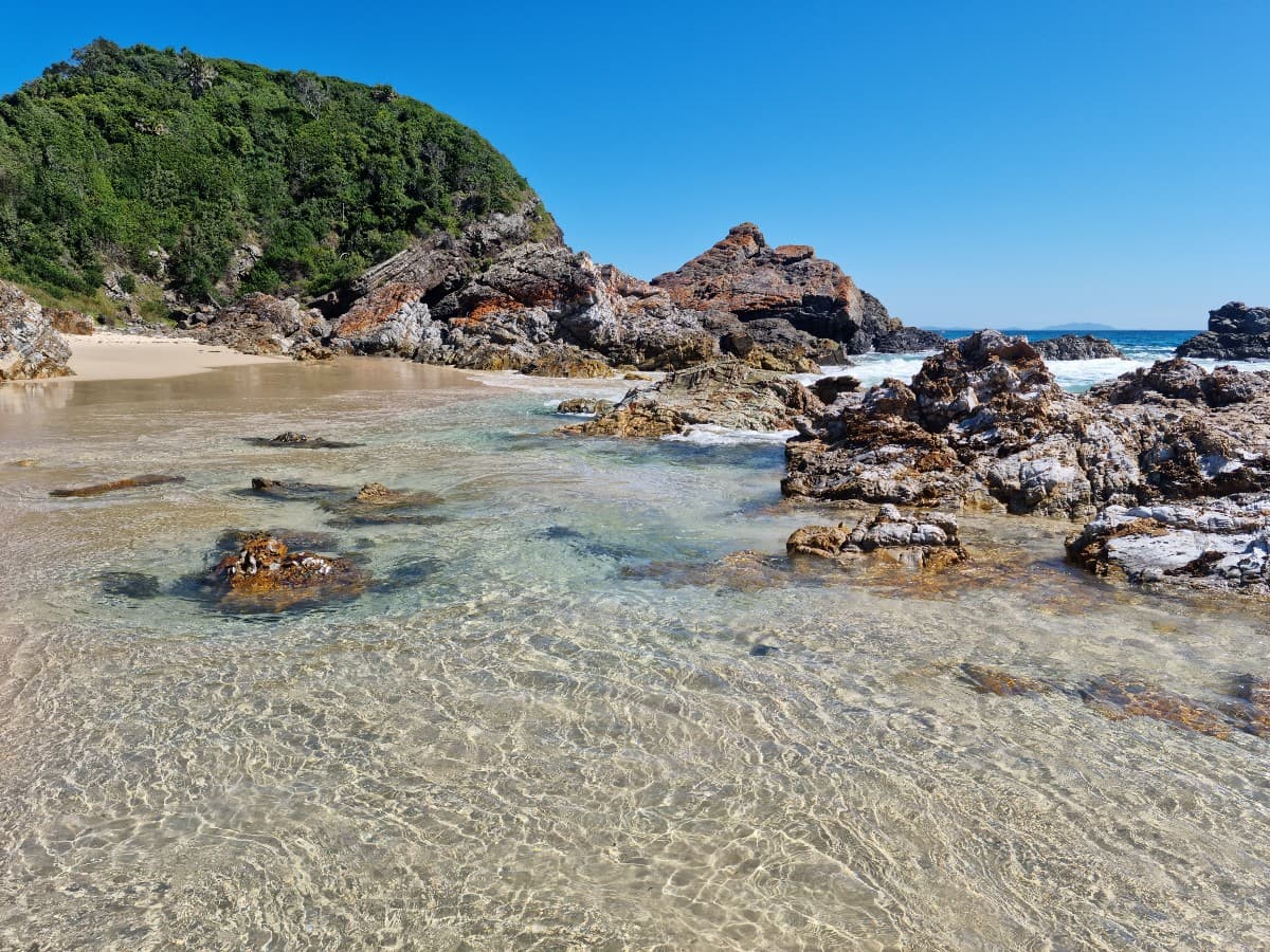 Elevate Your Business Success with Wandering Webmaster: Your Path to Marketing Excellence!