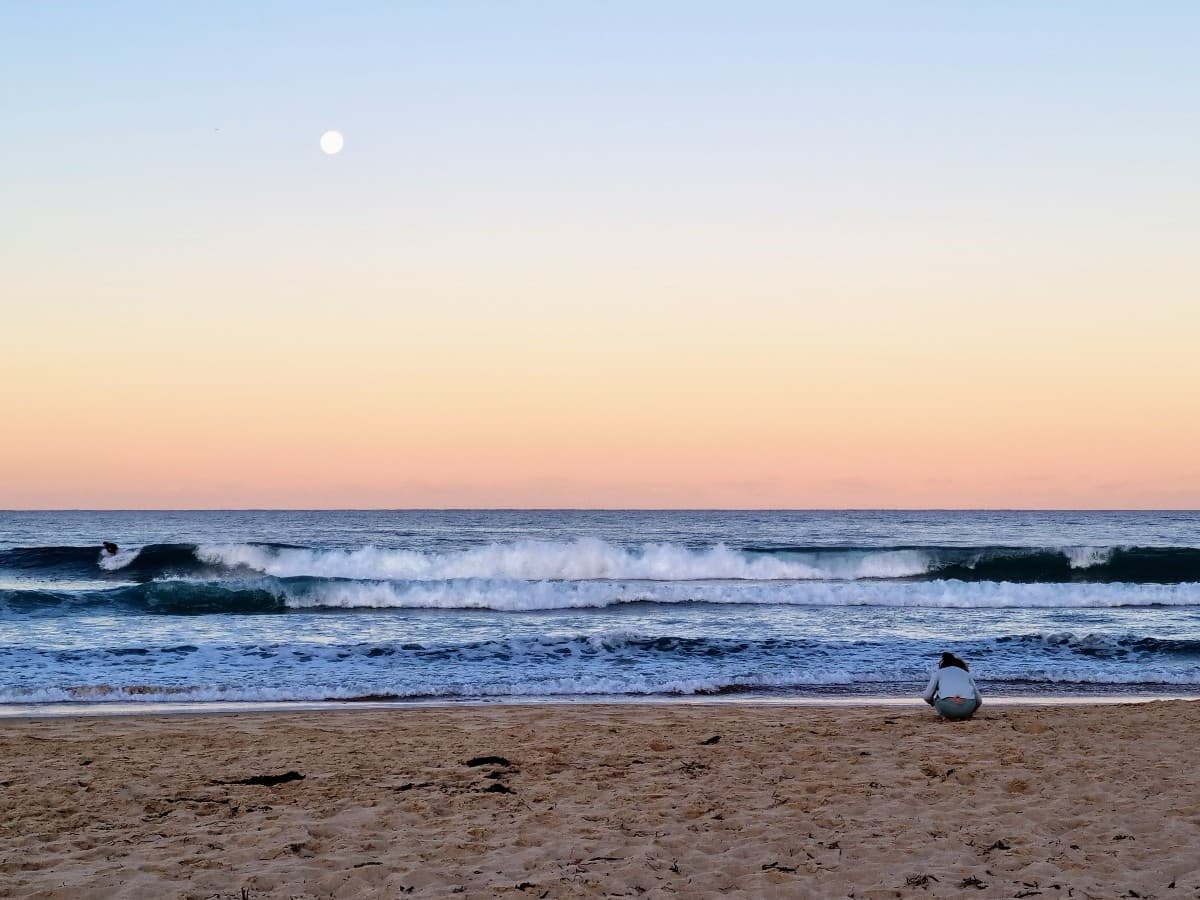 Enhance Your Online Presence and Build Customer Loyalty with Social Media Management