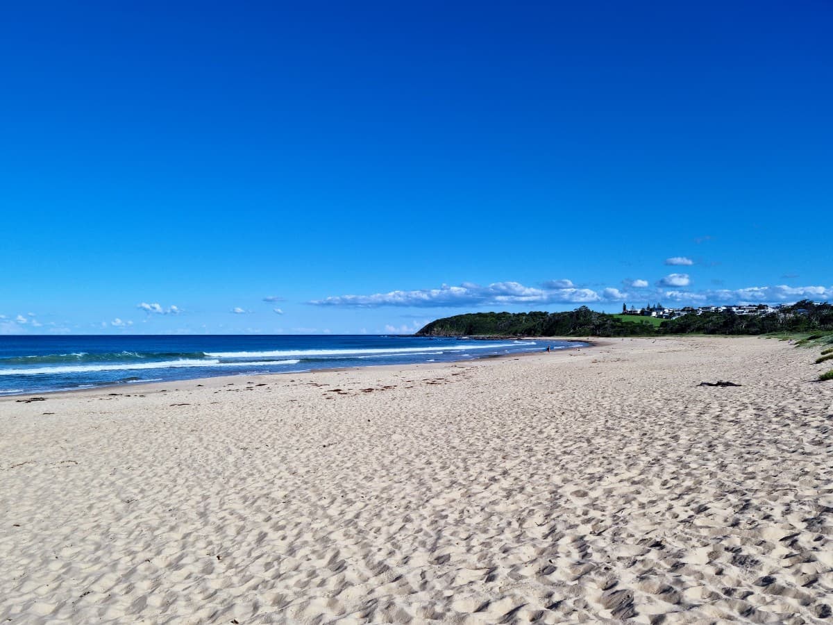 Nurturing a Stellar Company Culture: Unleashing the Potential of Your Team - Small Business Booster Series