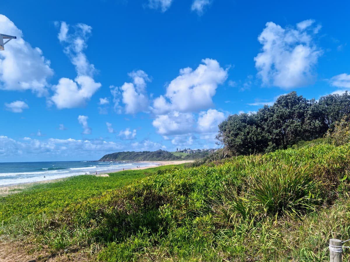 The Essentials of Mobile Marketing