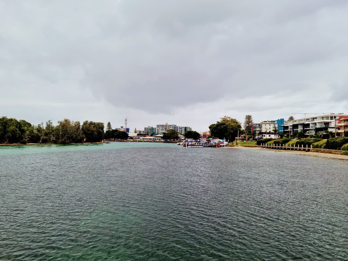 Reach a Wider Audience and Drive Immediate Results with TikTok Ads