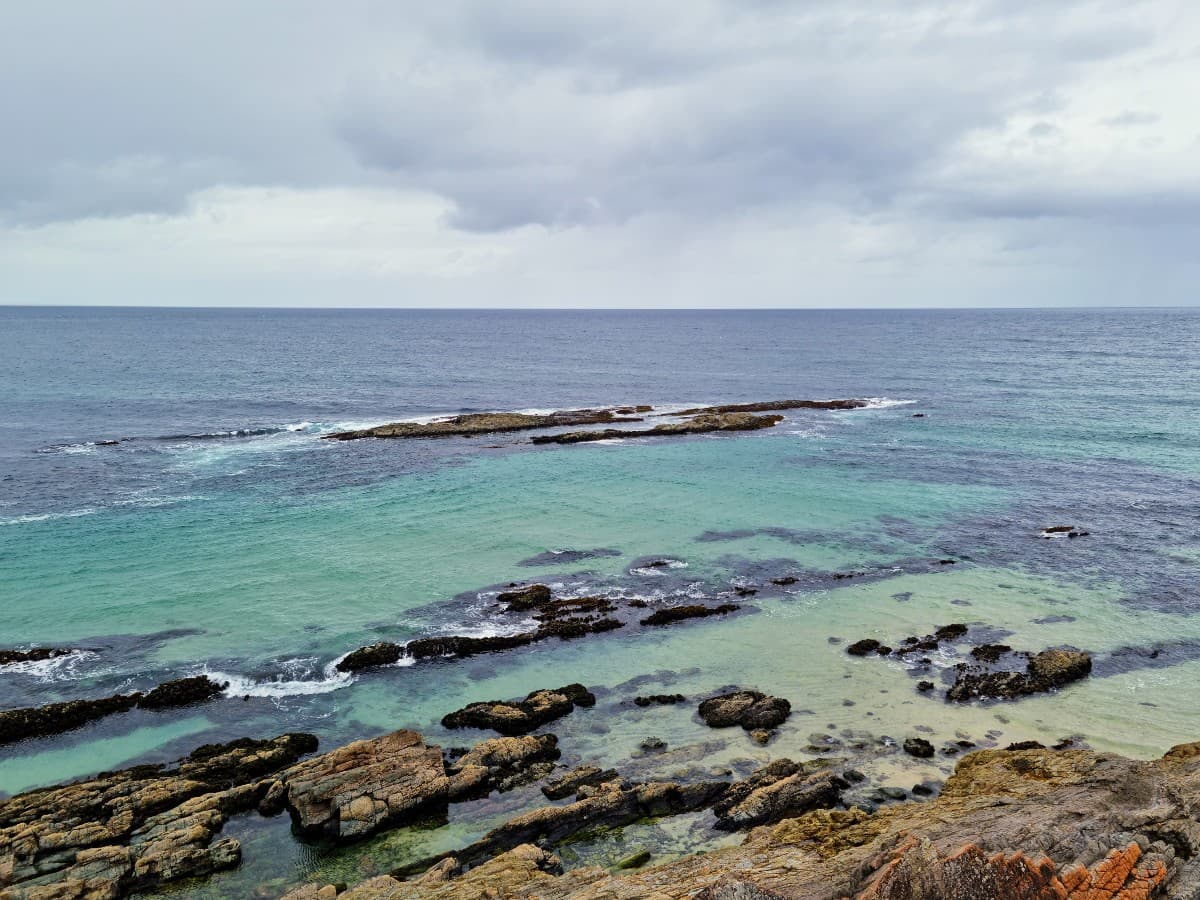 Building a Strong Online Presence: A Guide for Small Businesses