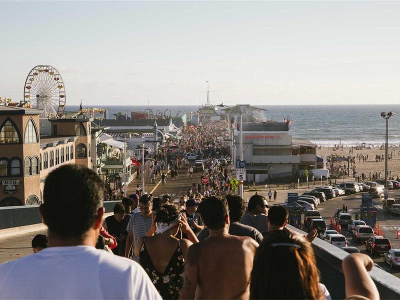 The Art of Effective Social Media Management: Building Your Online Presence