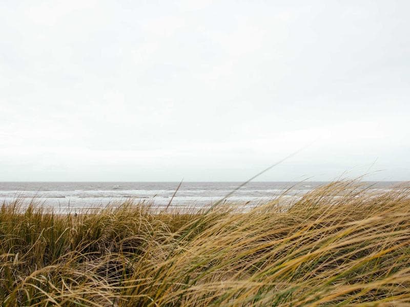 Cover illustration for The Art of Writing Compelling Headlines