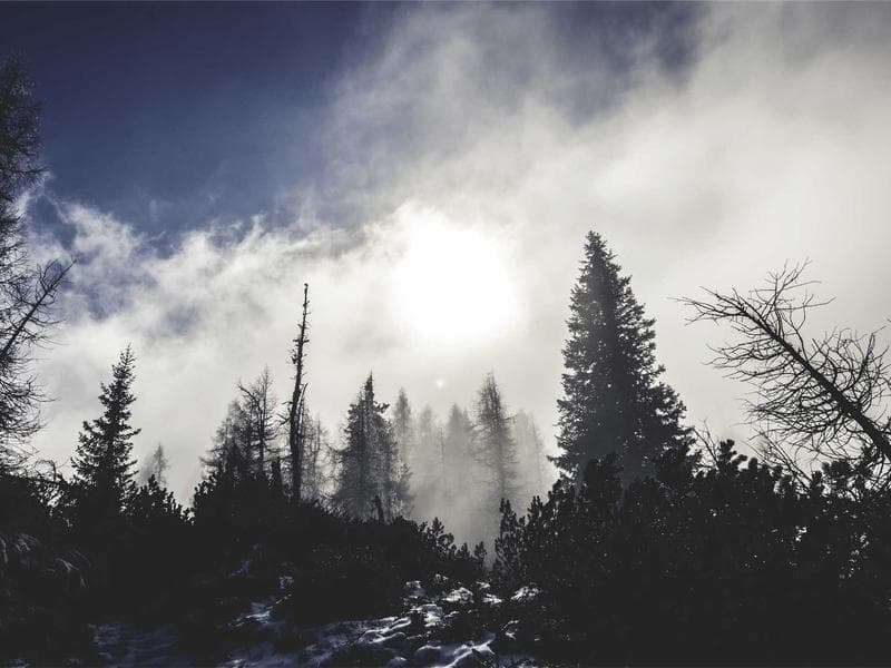 Drive Success with Engaging Content Services from Wandering Webmaster