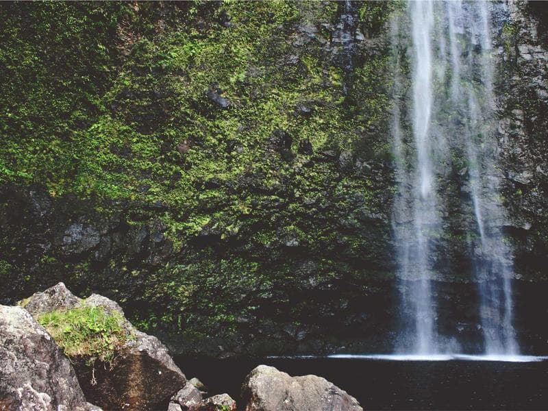 Embrace the Journey: Introducing the Business Growth and Mindset Series