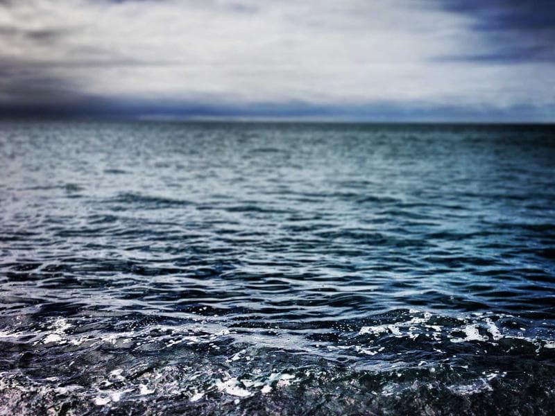 The Power of Collaboration: Building Strong Partnerships for Business Growth