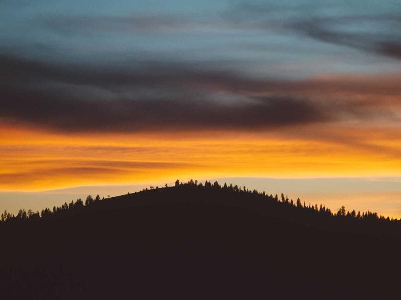 The Power of Reflection: Harnessing Insights for Personal and Professional Growth