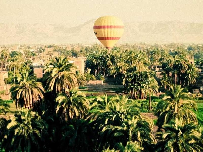 How to Perform a Local SEO Audit for Your Business in 12 Steps