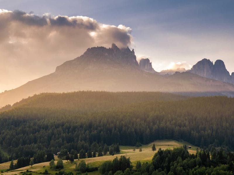 How To Delete Your Shopify Store