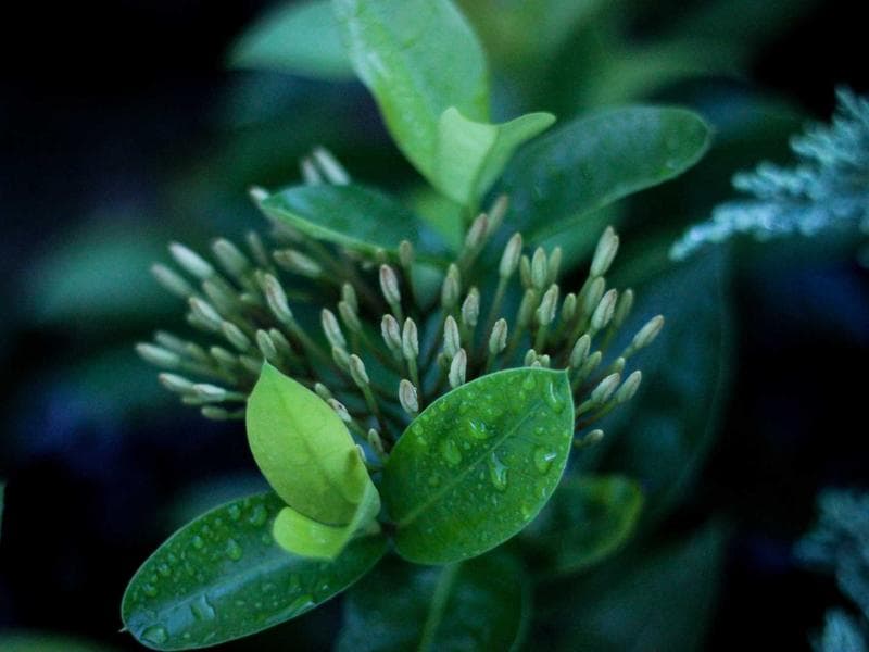 Unlock Your Digital Presence with Business Card Websites