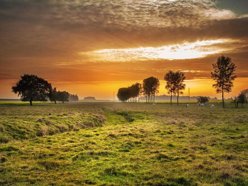 Understanding the November 2024 Google Core Update