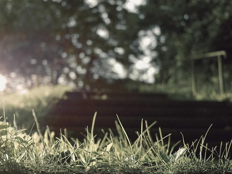 Cover image for Elevate Your Digital Strategy with our SEO & SMM Service Roadmap