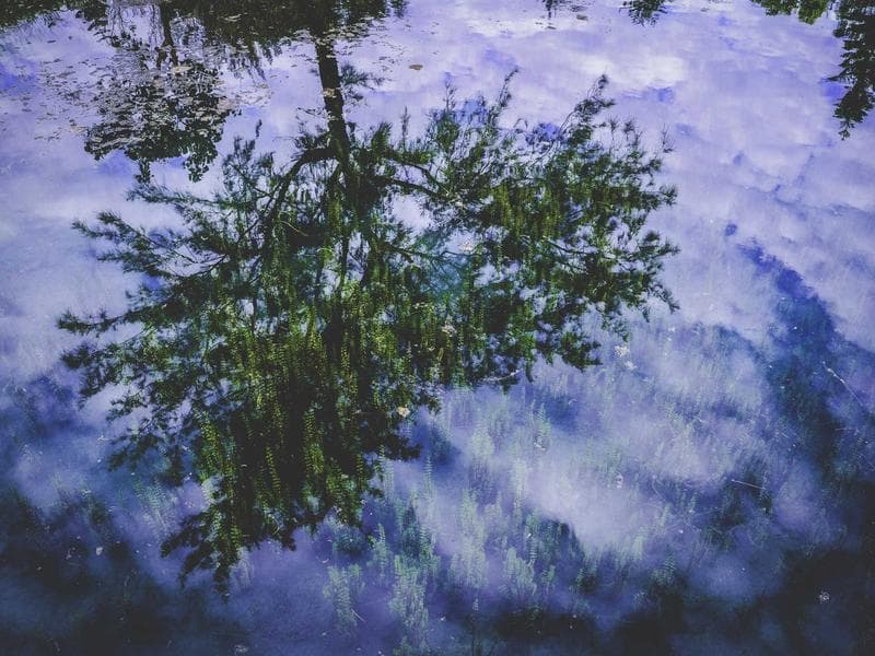 Cover image for Editing Your Website with Divi Builder: A Simple Guide