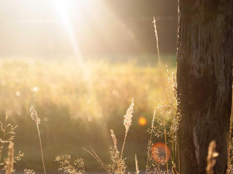 Social Media Marketing 101: Getting Started