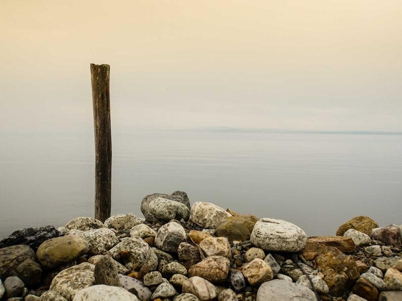 Cover image for Stop Worrying About Your Website: The Value of Managed Google Ads Management