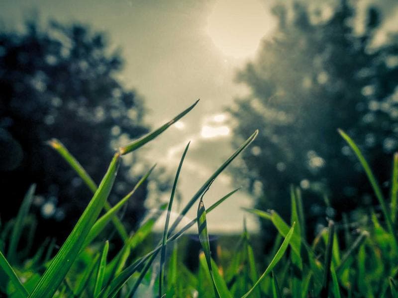 Cover illustration for Digital Marketing vs DIY: What's Best for Queensland Businesses?