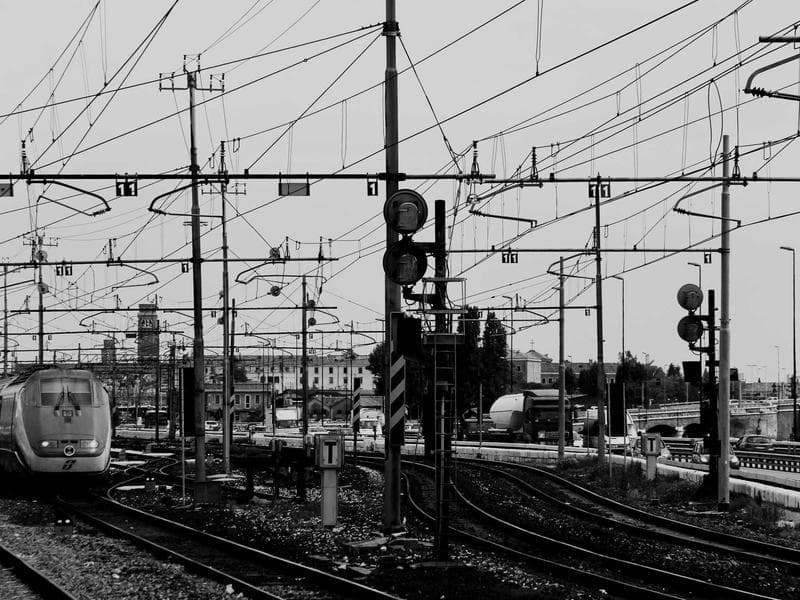 Cover image for Top SEO Services Trends for 2026: A Noosa Perspective