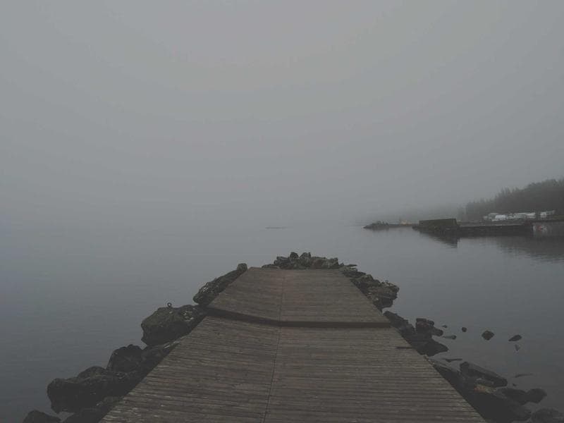 Cover image for A Simple Explanation of Ecommerce Website for Local Shops