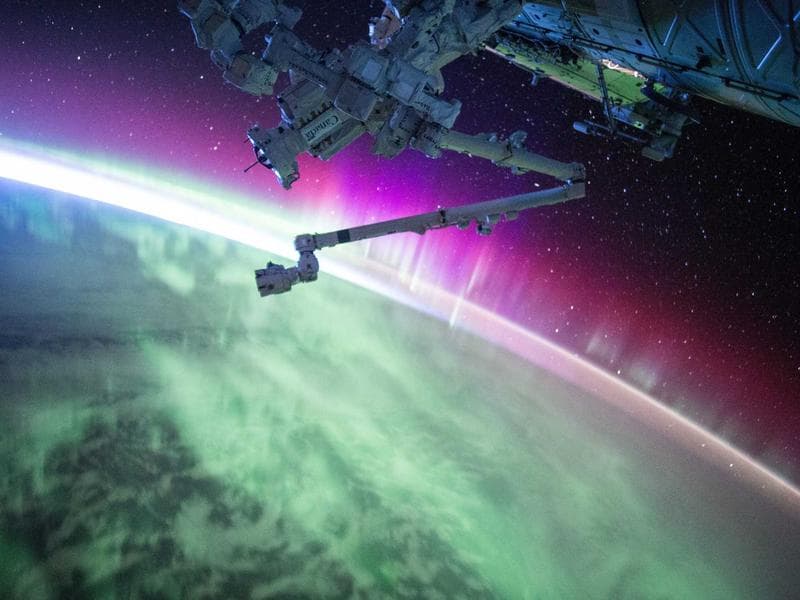 Cover illustration for What to Look for When Hiring a Web Design Expert in Australia