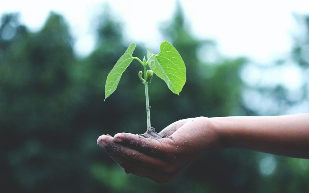 Embracing Change: Navigating Business Transitions with Resilience