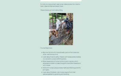 Website Modernisation for Wonder Pets Training