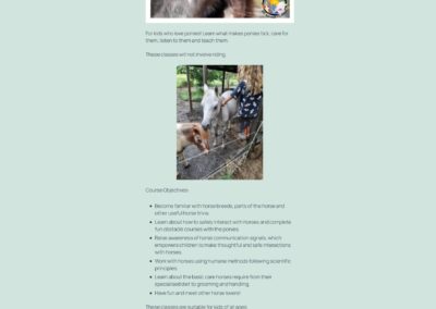 Website Modernisation for Wonder Pets Training