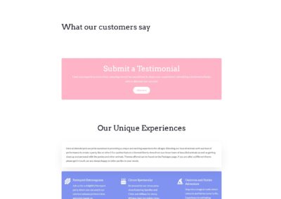 Website Design for Pony Parties Sunshine Coast