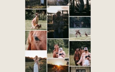 Website Design for River Rose Photography