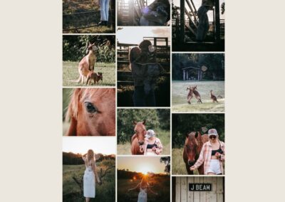 Website Design for River Rose Photography